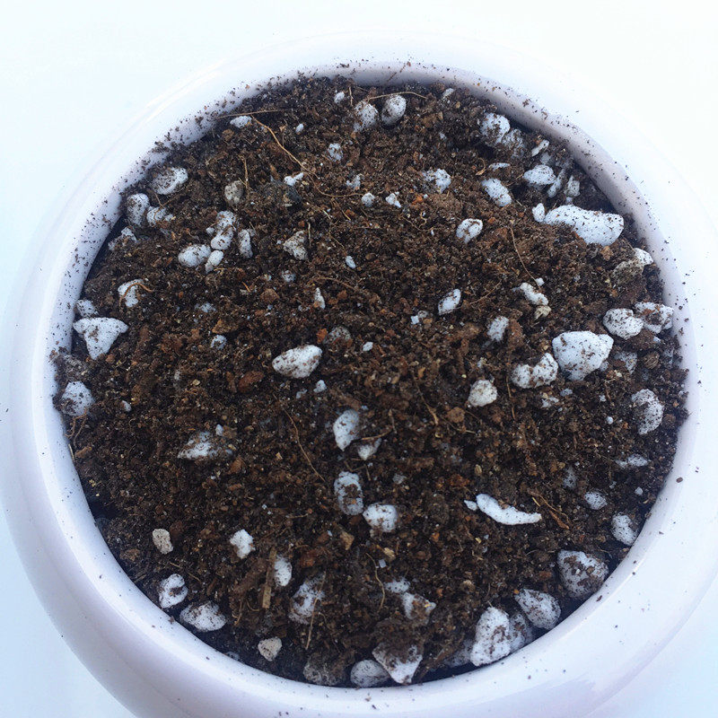 多肉植物营养土【自配营养土】花卉园艺叶插