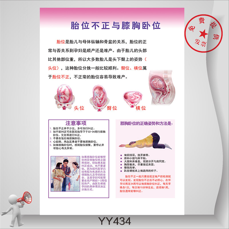 胎位不正与膝胸卧位的注意事项 妇产科装饰大厅办公室展板挂画