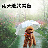 无始无终岛国3d片源 迅雷下载施礼胡铁璇我的团长我的团洗练