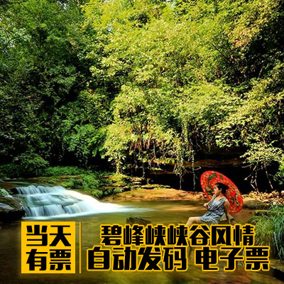 大熊猫基地_四川雅安碧峰峡门票自然峡谷风景区门票含观光车 大熊猫