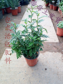 办公室椅子价格