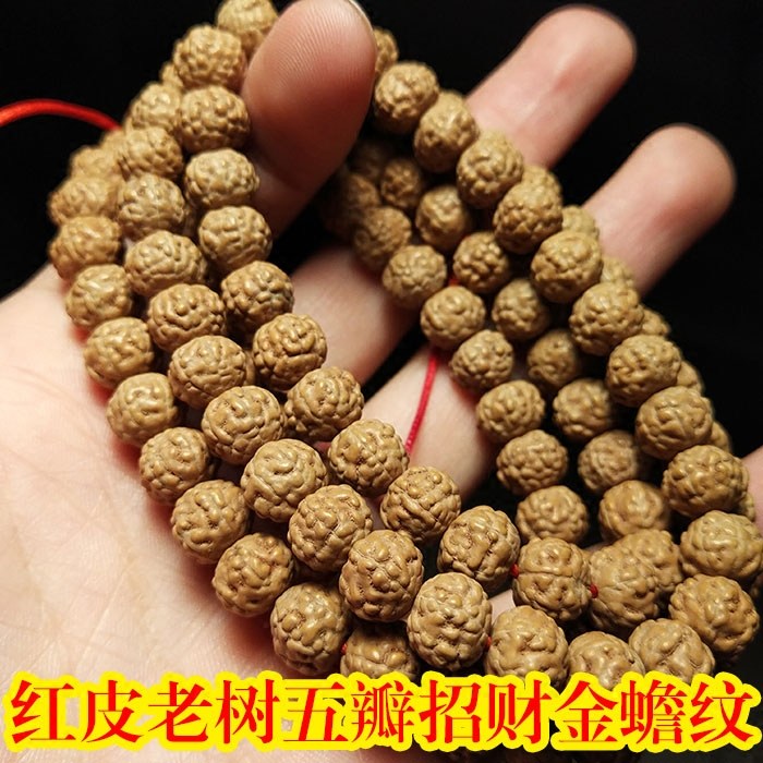 小金刚菩提子金蟾纹蛤蟆背108颗5五瓣6六瓣爆肉金刚菩提手串原籽