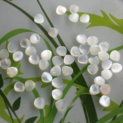 彩色珍珠母贝闪亮贝壳碎料 diy美甲手机美容饰品镶嵌材料 10克/份_7折