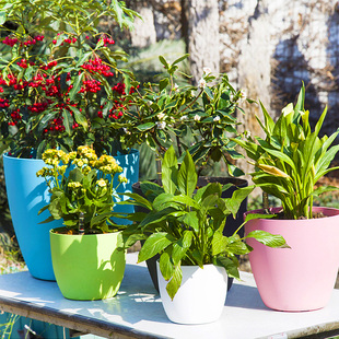 automatic storage water flowerpot without watering the laz