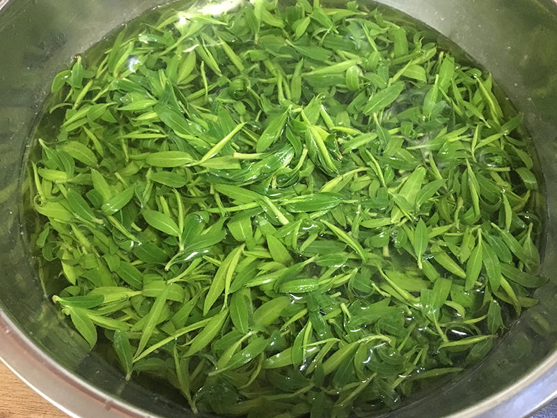 鲜嫩爽口的凉拌柳芽,千万莫错过!