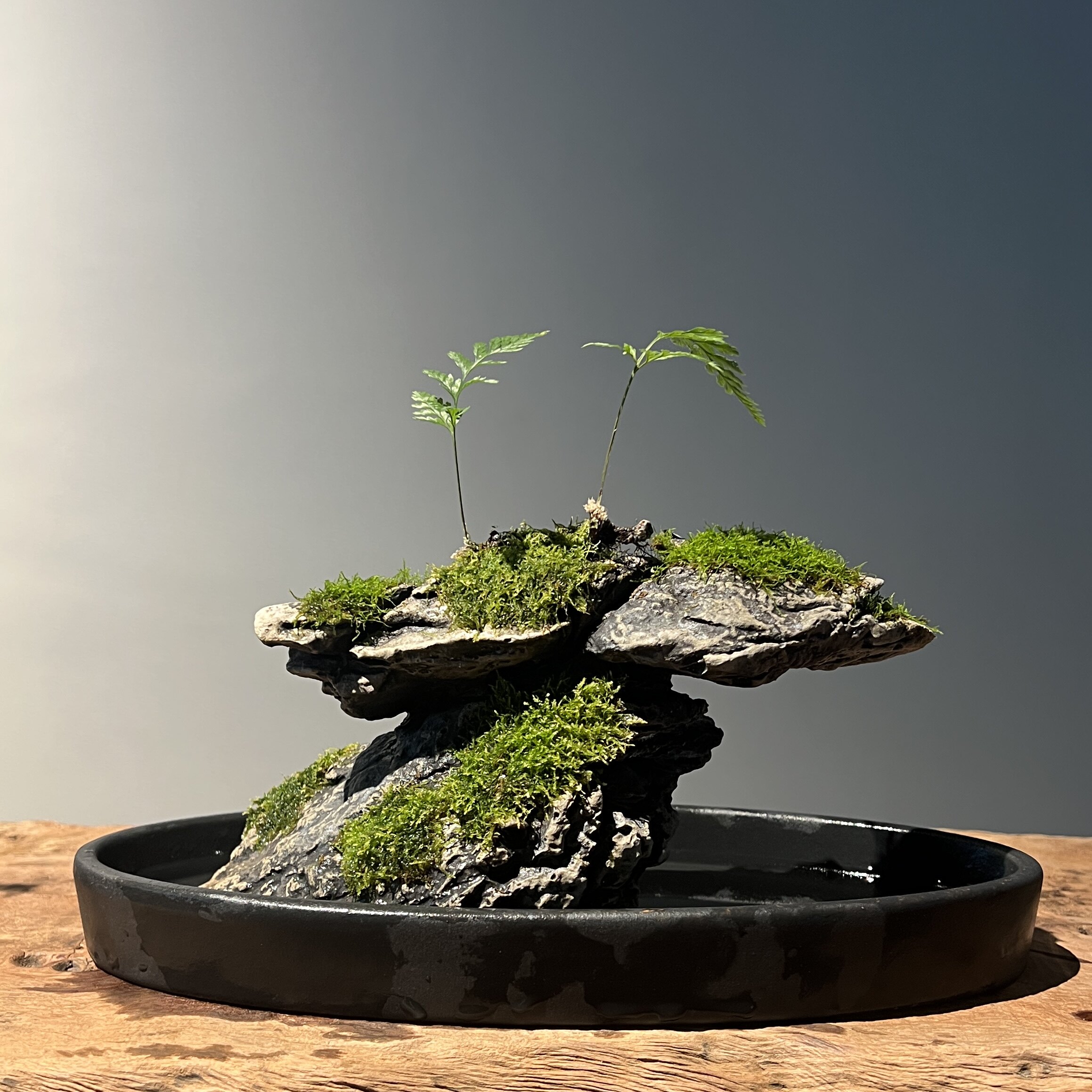 陶瓷假山盆景:把自然搬回家