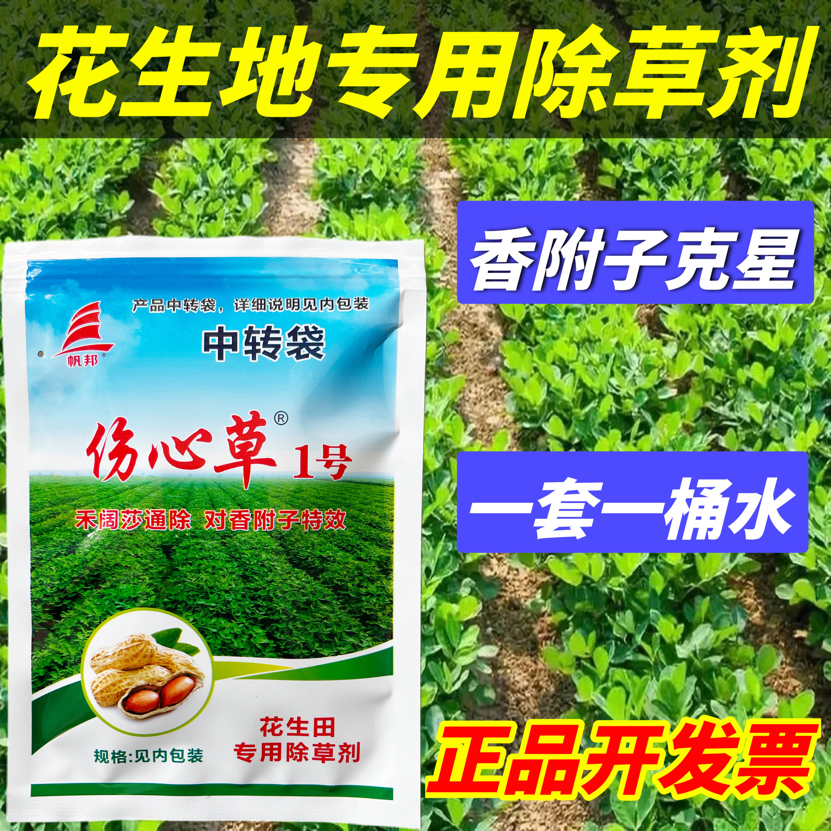 花生田里的除草神器 让杂草伤心到烂根