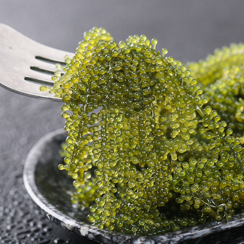 盐渍海葡萄让我一口爱上大海的味道!