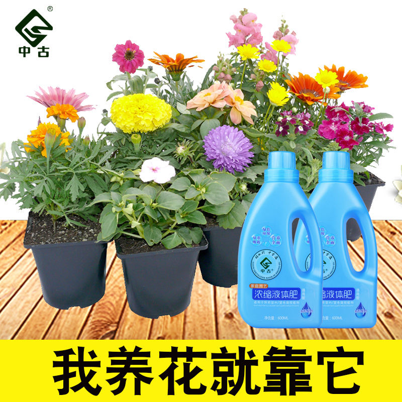 我家阳台放几个空油桶!1个月没买过菜!