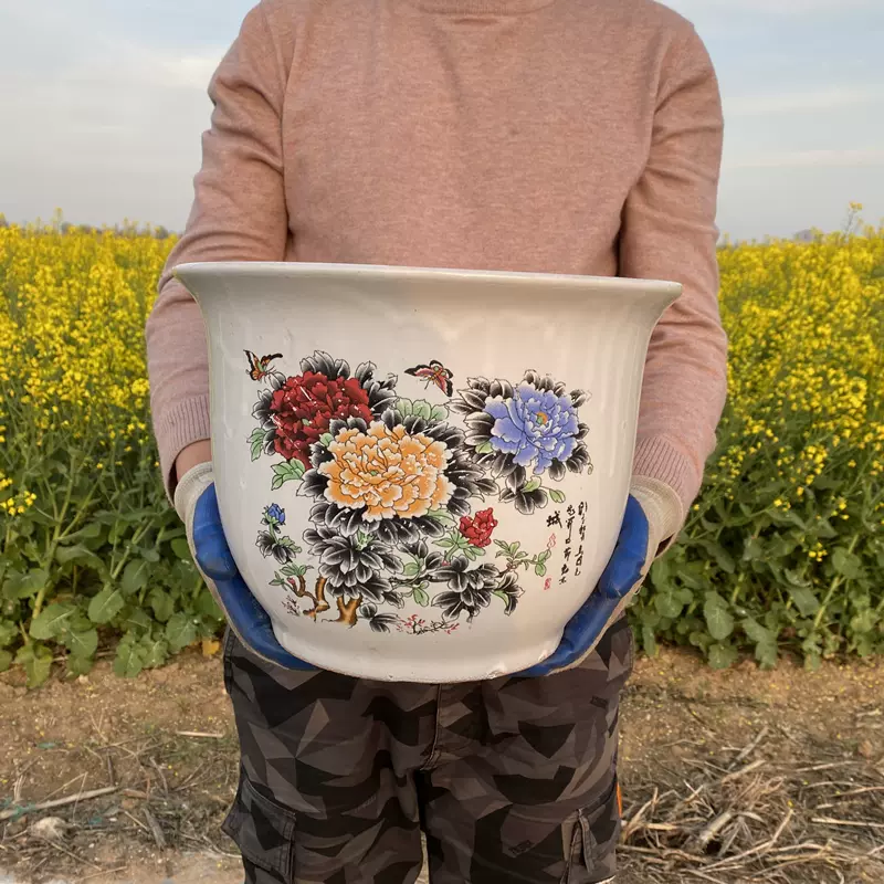 多肉植物牡丹 新人首单立减十元 21年11月 淘宝海外