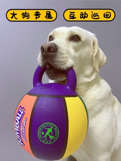 Hong kong's gigwi tour is looking for interactive border collie training outdoor large dog basketball toy ball