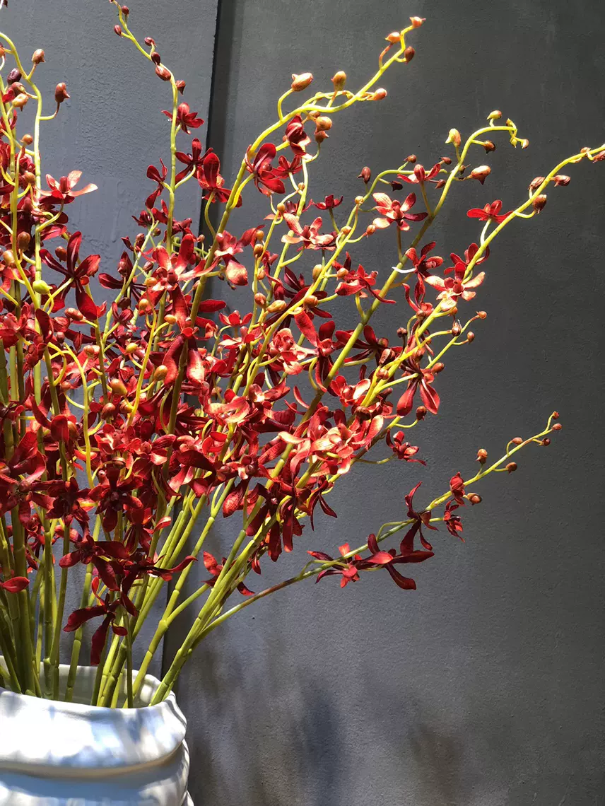 万代兰仿真兰花假花 新人首单立减十元 21年10月 淘宝海外