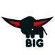 big旗舰店的LOGO