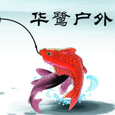 华鹭 浮漂