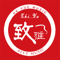 和乐乐器专营店