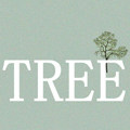 TREE korea socks