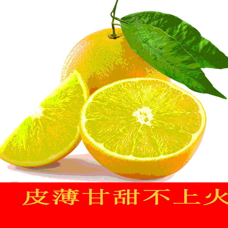 永兴县思乡农家土货店的LOGO