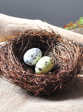 森系藤草编鸟窝鸟蛋仿真拍照道具木片树桩松果花园艺装饰素材摆件