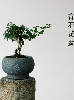云鹤堂 天然青石盆创意性石头盆文竹盆景小盆