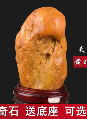 天然黄蜡石黄龙玉原石镇宅客厅摆件观赏奇石景观石头泰山石圆包邮