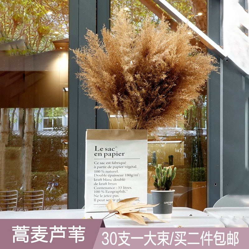 服装店芦苇干花花瓶橱窗干花装饰摆件北欧束桌面家具摆设落地创意,淘宝优惠券,粉丝福利购,淘宝优惠卷