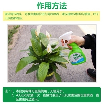 室内植物杀虫剂 新人首单立减十元 21年8月 淘宝海外 室内植物杀虫剂 新人首单立减十元 21年8月 淘宝海外