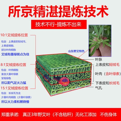 。新雷山东艾条三年n陈通阳透灸6.5cm款火灸大艾炷家用无阳纯烟-图2