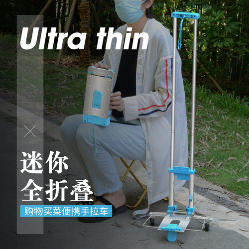 迷你买菜小拉车可折叠便携手拉车家用购物拉货拖车搬运行李拉杆车 - 图0