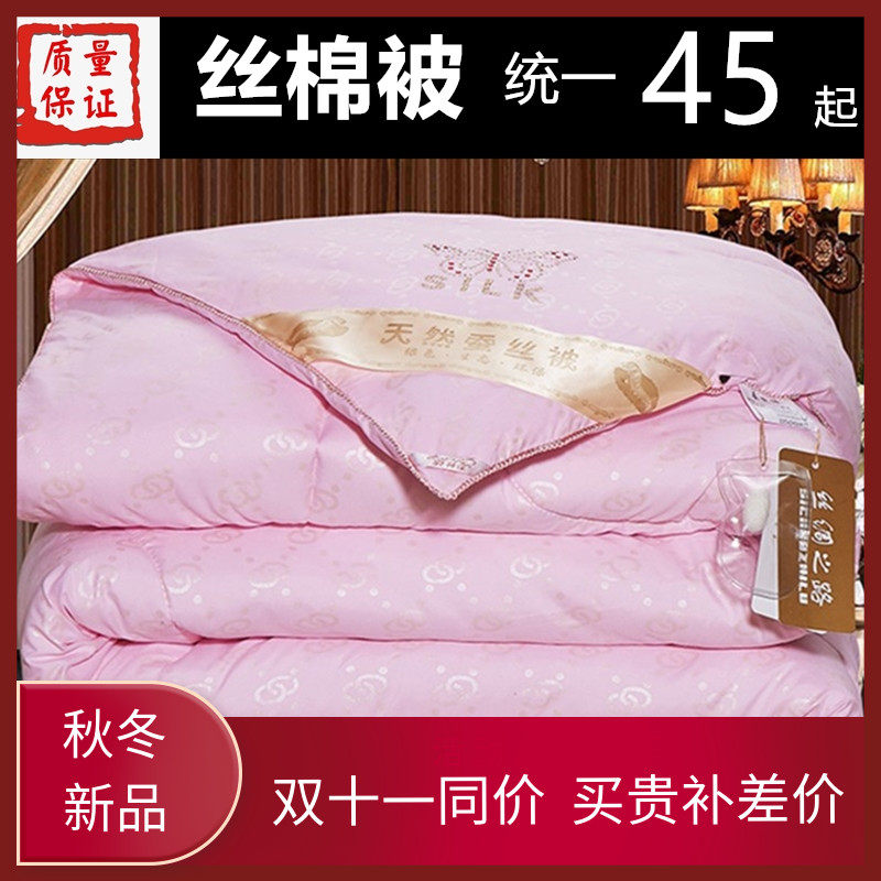 加厚12斤全棉丝棉被芯春秋冬被纯棉单人双人学生宿舍保暖被子冬季,淘宝优惠券,粉丝福利购,淘宝优惠卷