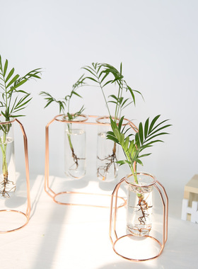 北欧金属铁艺水培容器玻璃试管花瓶干花插花创意家居客厅简约摆件