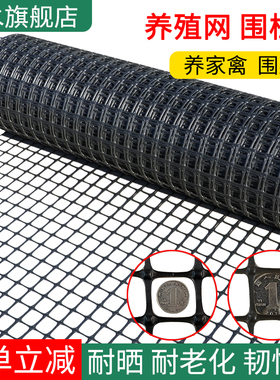 塑料网格养殖网土工格栅果园鱼塘防护网圈地网漏粪网养鸡鸭围栏网