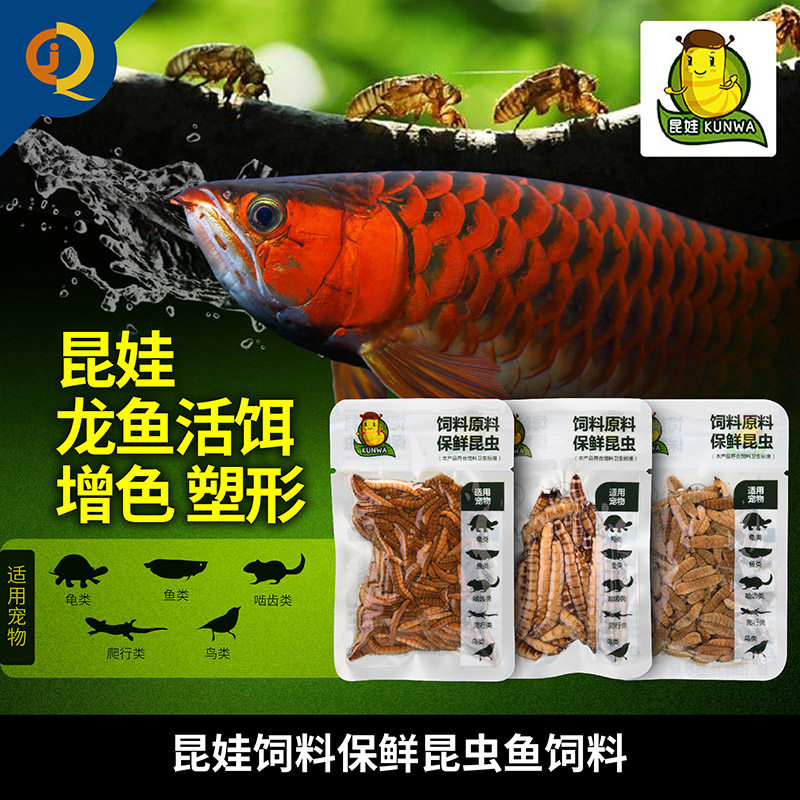 昆娃保鲜昆虫鱼食爬虫鸟龟宠物龙鱼饲料大麦虫蟑螂蟋蟀蜈蚣面包虫,淘宝优惠券,粉丝福利购,淘宝优惠卷