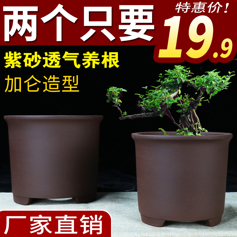 宜兴紫砂兰花盆圆口君子兰花盆专用中小筒盆景盆栽室内阳台陶瓷盆