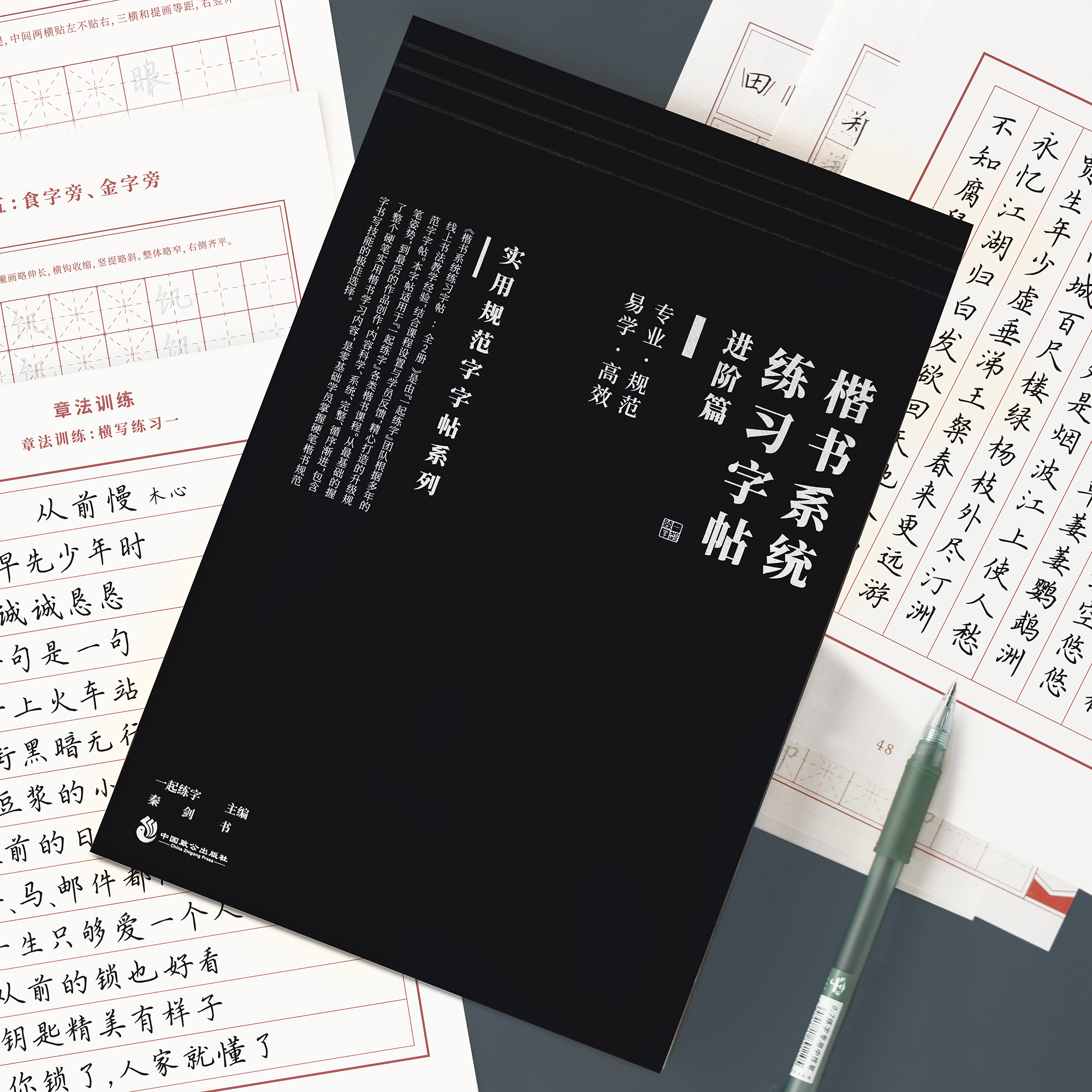 一起练字楷书系统练习字帖规范字漂亮成人字体正楷书法笔画大学生