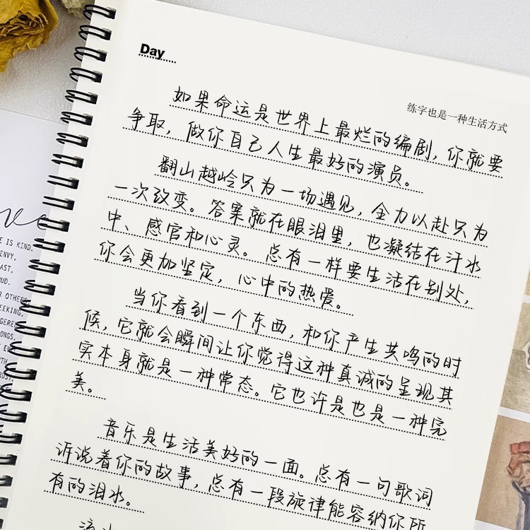 奶酪体 央视文案练字帖成人练字女生字体漂亮成年人大学温柔治愈