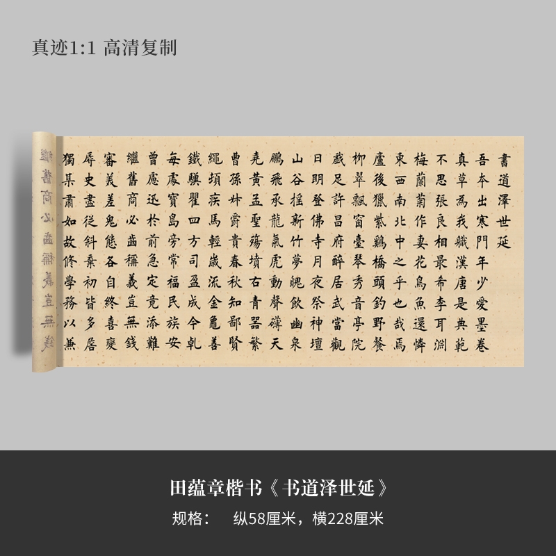 田蕴章《书道泽世延》楷行草书高清原大复制品毛笔书法练字帖临摹