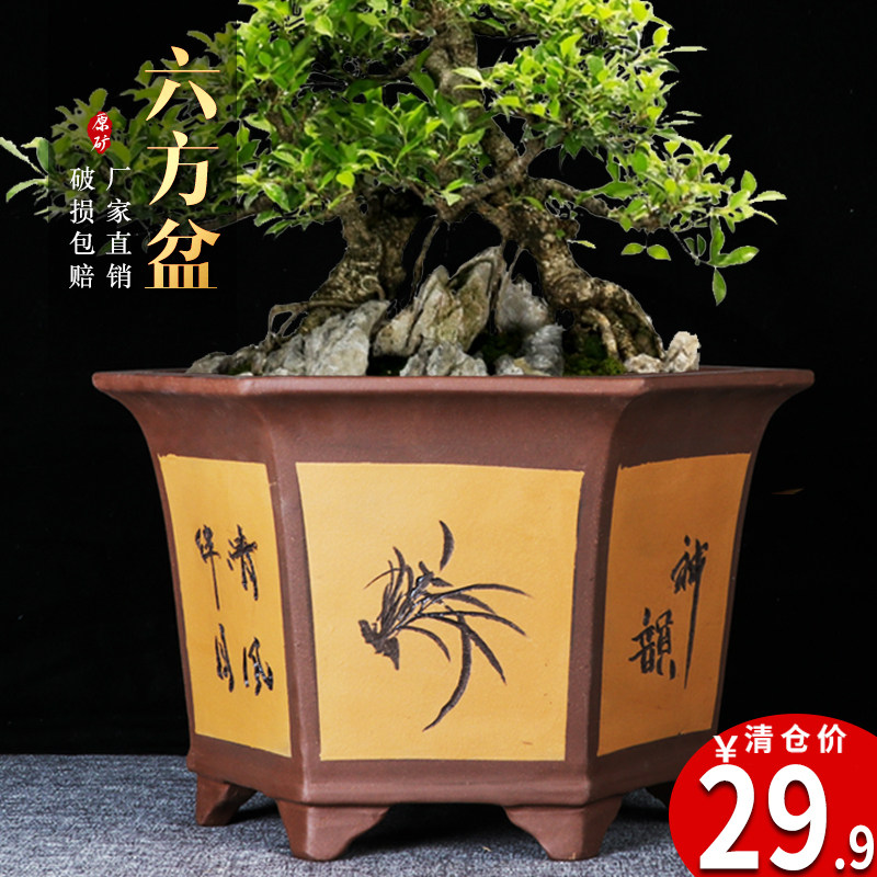 宜兴紫砂兰花盆特价清仓多肉种树老桩悬崖盆景盆桌面绿植陶瓷花盆