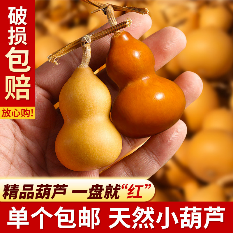 天然小葫芦手捻文玩精挑绕指柔小葫芦手把件龙头周正胖墩草里金串