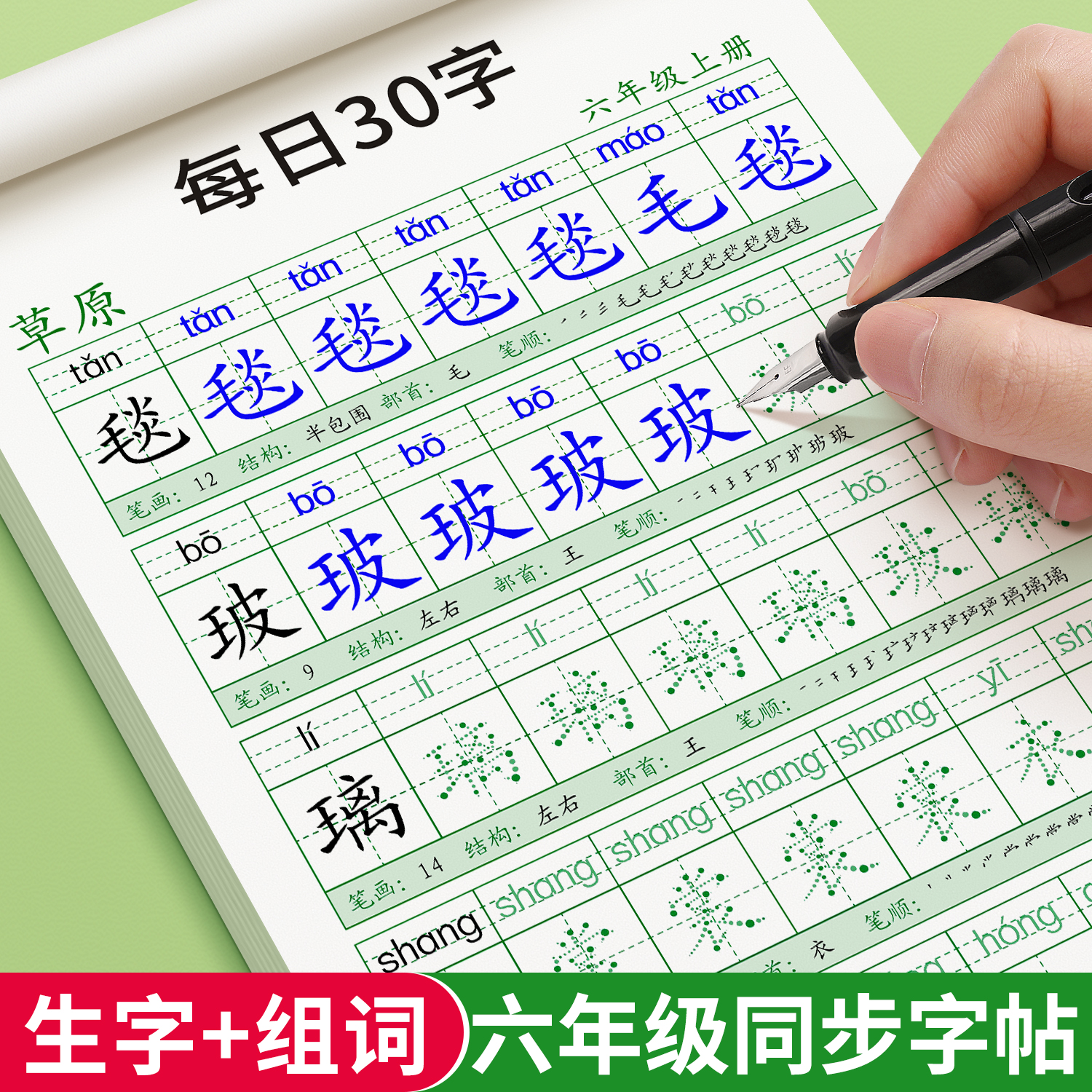 六年级上册下册同步练字帖人教版字帖小学生每日一练钢笔练字本硬笔书法语文写字贴初学者专用正楷楷书教材临摹词语部编版每日30字