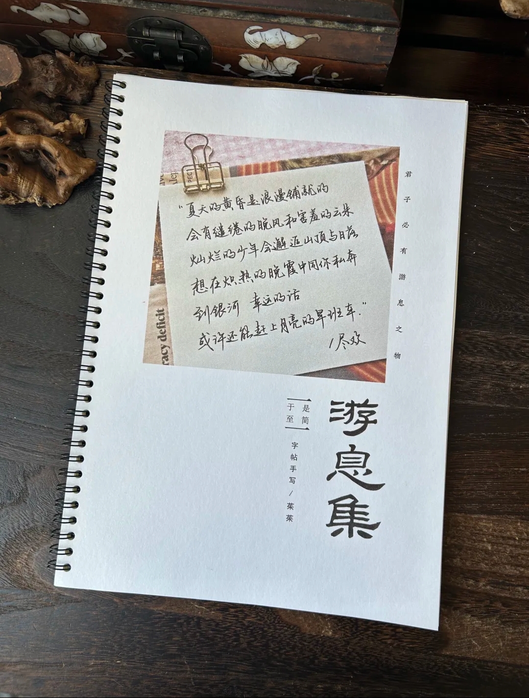 游息集 茱茱手写体字帖 硬笔书法字帖 成人手写体行楷 女生字体