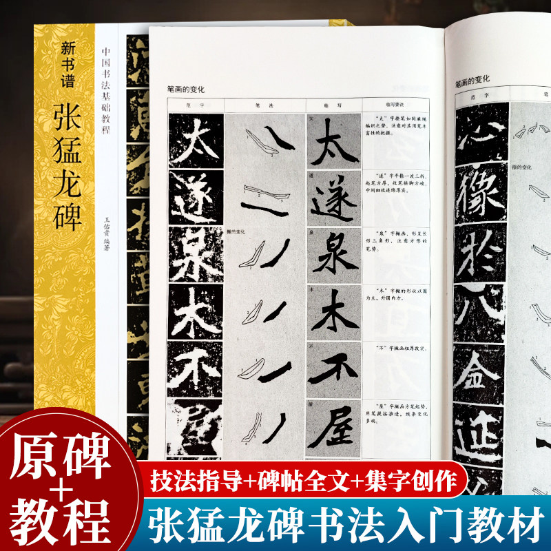 张猛龙碑(原碑帖+技法教程) 新书谱中国书法基础教程 高清原碑帖+笔画技法+章法结构+集字创作入门临摹教材魏碑楷书毛笔书法字帖