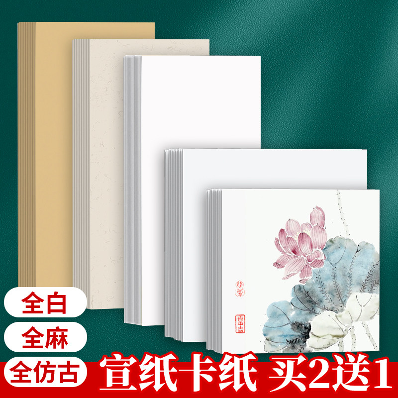 国画生宣专用加厚宣纸卡纸半生熟镜面白色无边镜片纸长方形空白中国画没骨画书法临摹熟宣卡片边框工笔画画纸