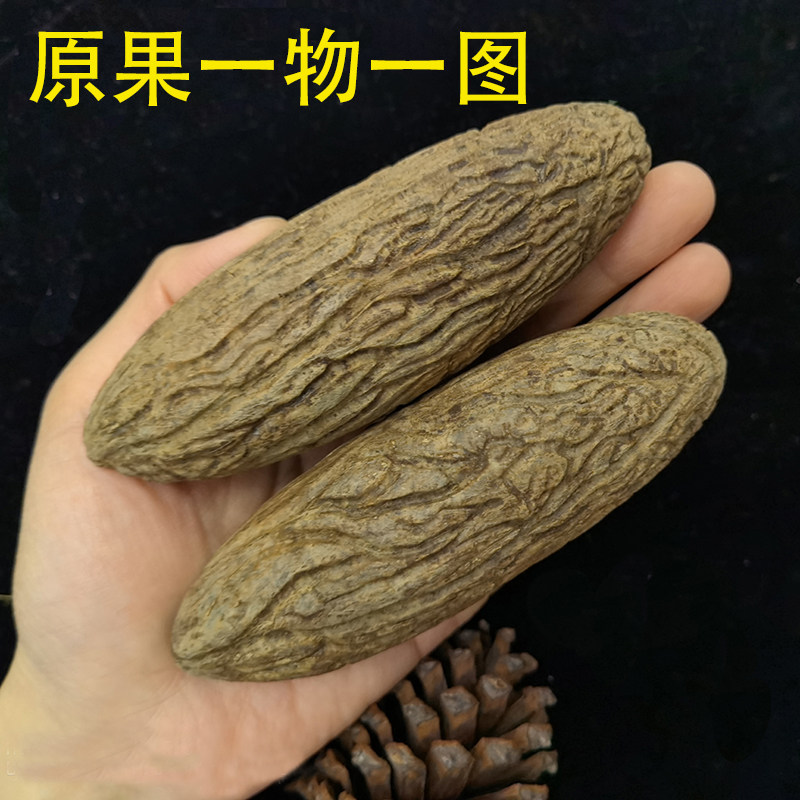 千眼菩提子手把件 白绿色原子籽原料胖大果精品 文玩红果单颗超大