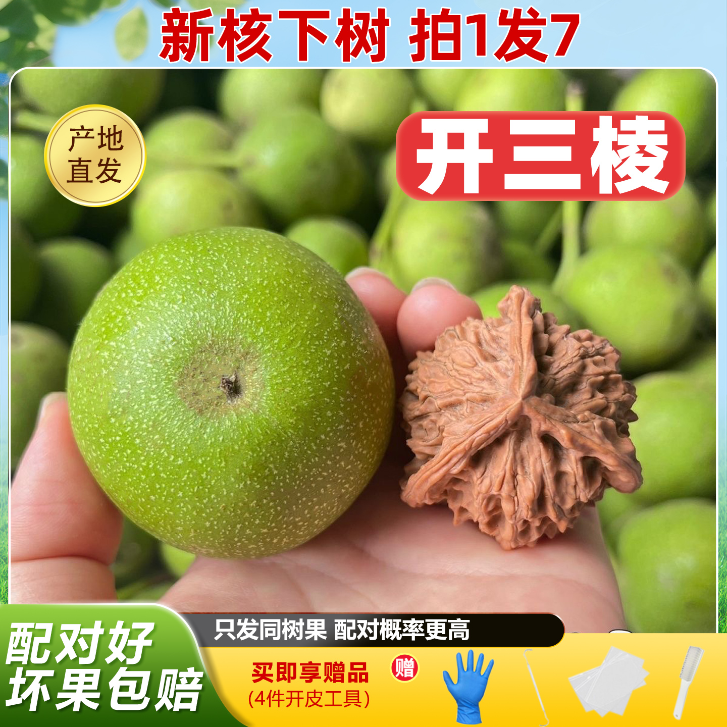 核桃文玩青皮手盘核桃把件四座楼狮子头麒麟纹官帽苹果园手捻核桃