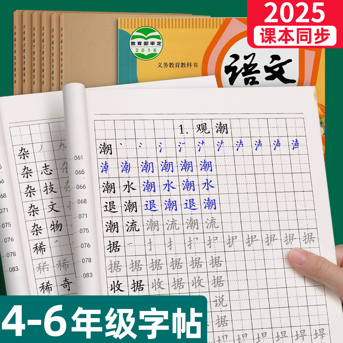 4-6年级生字组词练字帖小学生专用字帖每日一练同步语文人教版上册下册练字本四年级五六每日打卡硬笔书法楷书正楷笔画笔顺钢笔贴