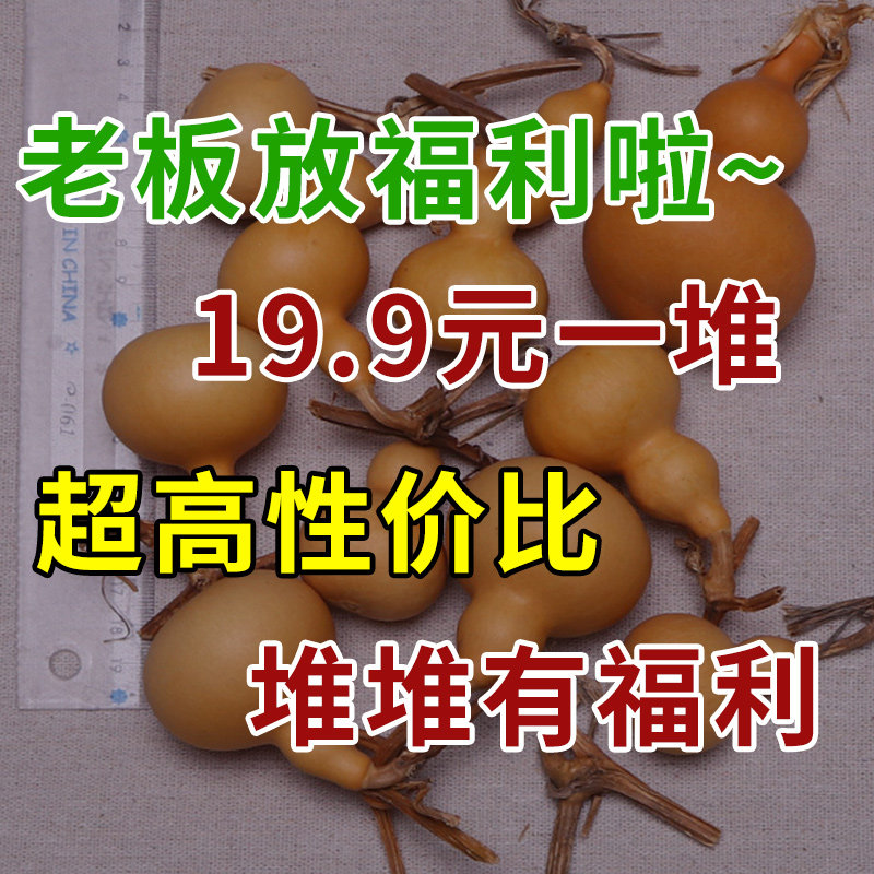 葫芦瑕疵练手把件摆挂件文玩胖墩天然蚂蚁肚鸡蛋八宝种子烙画雕刻