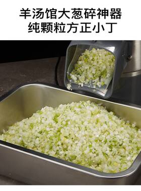 商用馅料机切丁机小颗粒饺馅机大葱切碎机菜馅机炒饭火腿香菇丁机