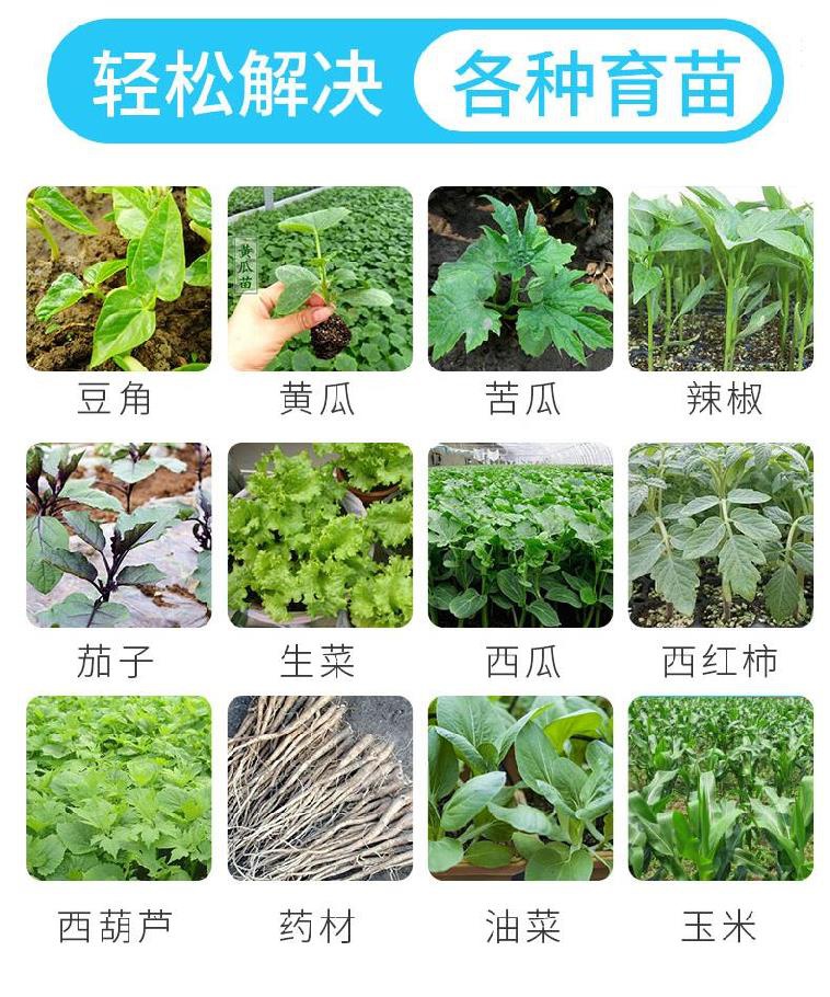 苗神器机辣椒种定距花带尺a两栽木播西瓜Q苗器用播苗点全自动蔬菜-图3