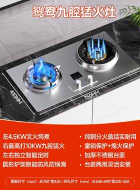 威力燃气灶厨房大火力不锈钢智能定时直喷蓝焰厨房双灶台式家宴灶
