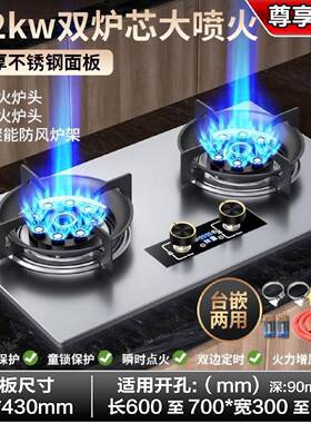 RGZYHUA家宴霸王猛火燃气灶双灶家用煤气炉增压天然气台式嵌入式